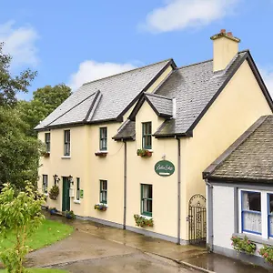 Boffin Westport